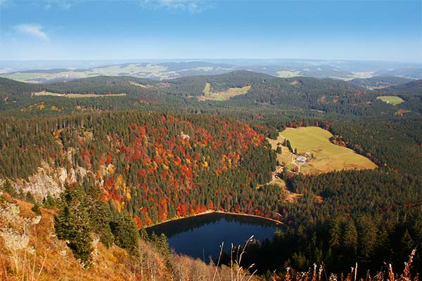 Blick vom Feldberg auf den Feldsee